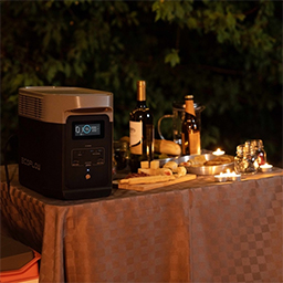 EcoFlow Delta 2
